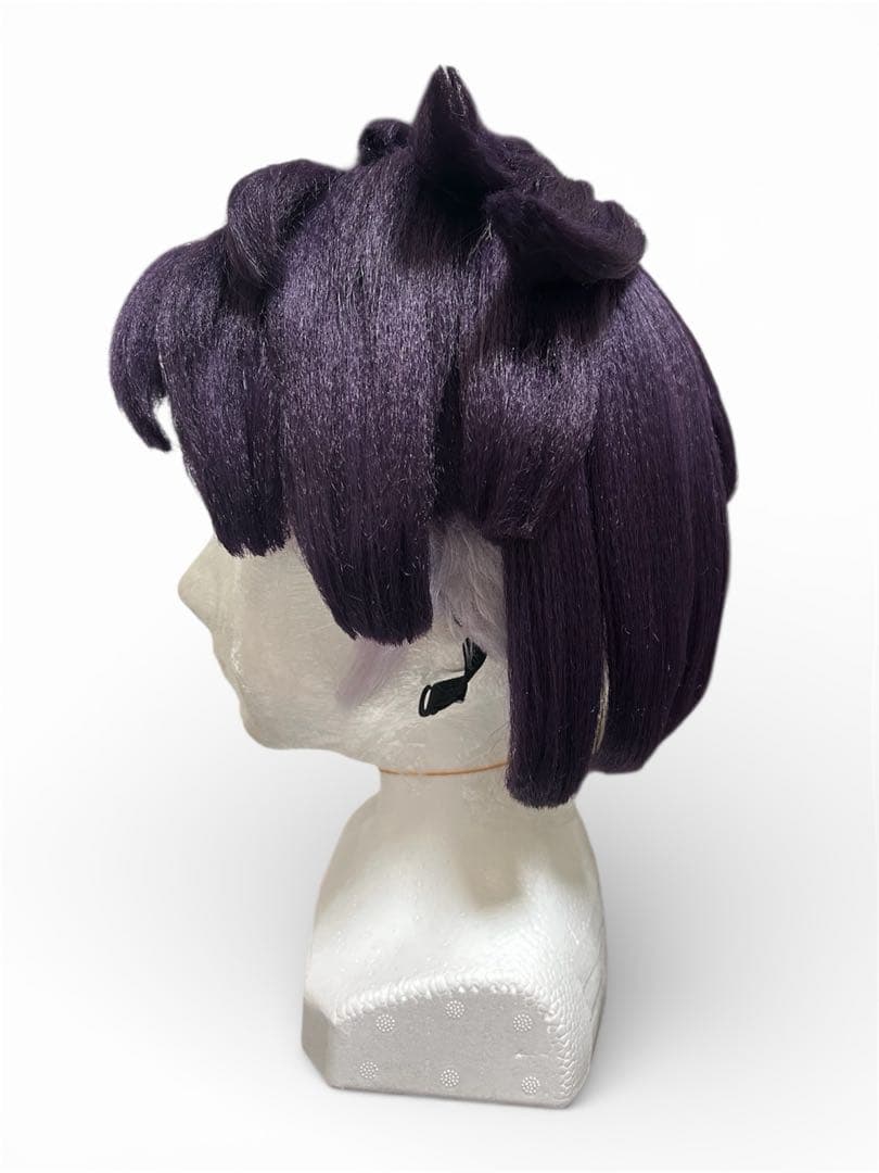 ポケモンZA カラスバ　ウィッグ