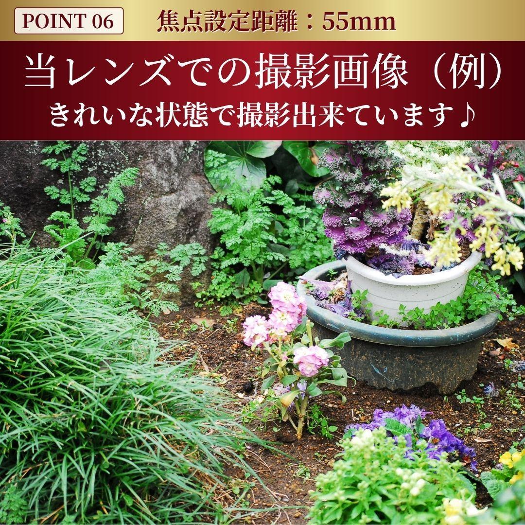 ニコン AF-S 55-200mm f4-5.6G ED DX VR #7348