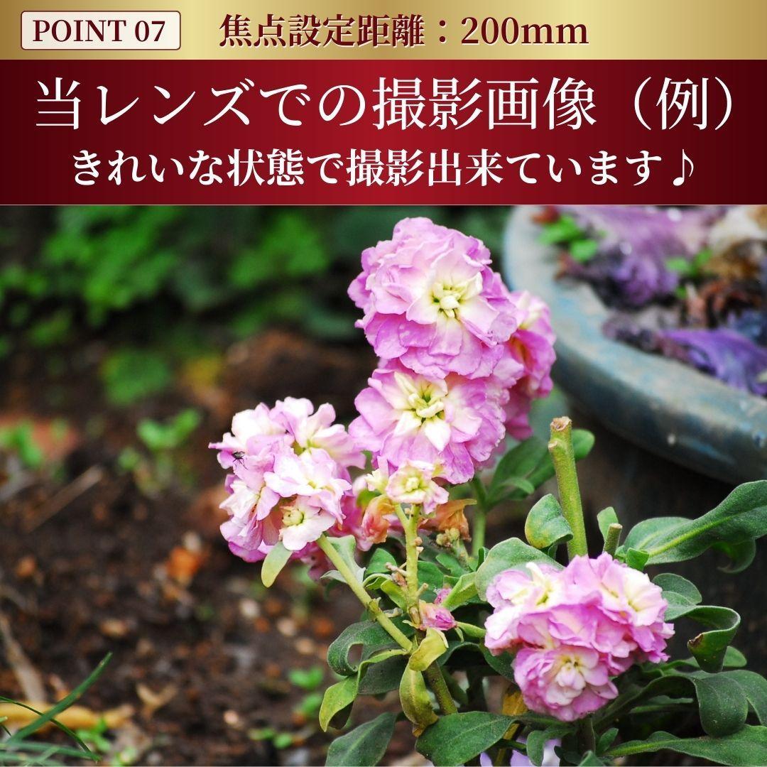 ニコン AF-S 55-200mm f4-5.6G ED DX VR #7348