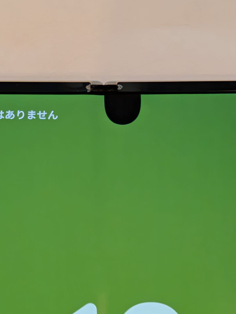 Google pixel 9 pro fold ジャンク扱いで