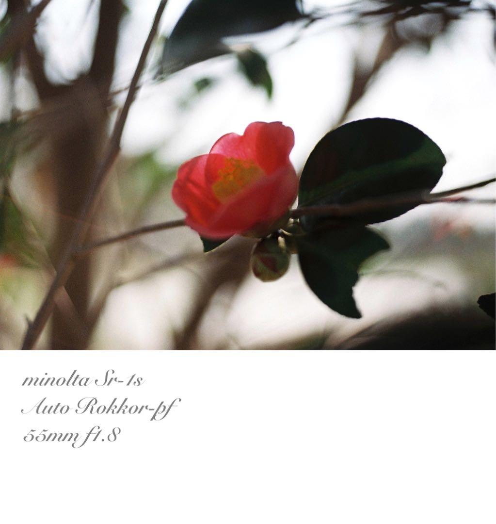 完動品＊美品＊初期保証★minolta Sr-1s&ロッコールレンズ★作例多数