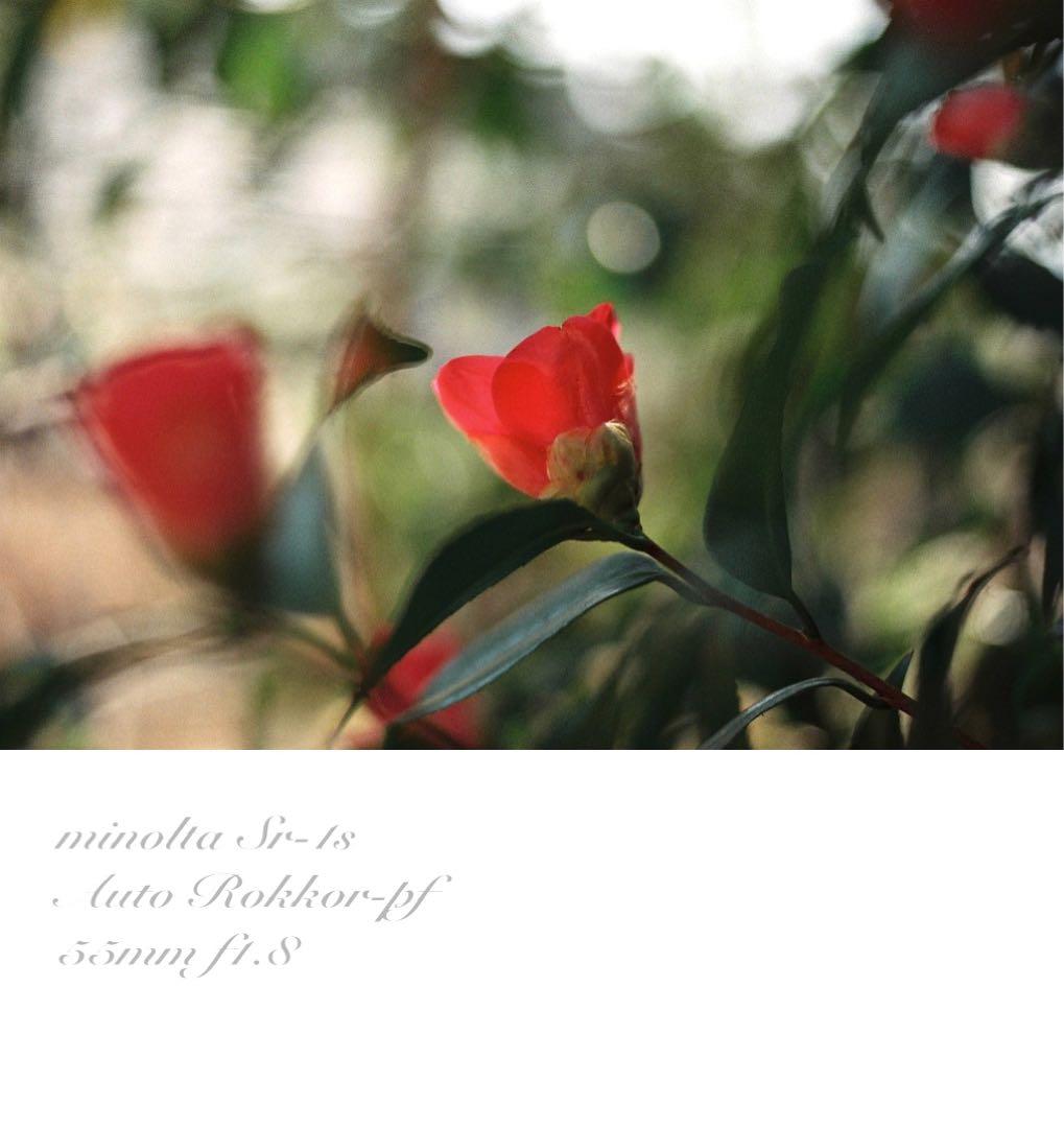完動品＊美品＊初期保証★minolta Sr-1s&ロッコールレンズ★作例多数