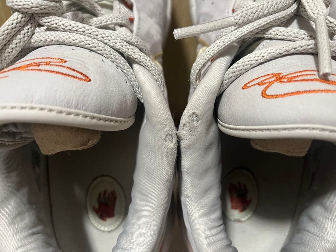 ナイキ レブロン21（NIKE LEBRON XXI）