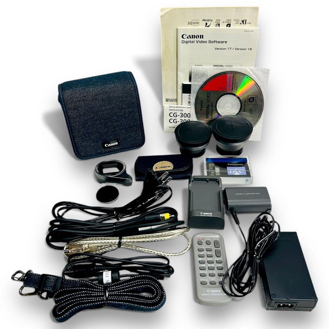 ★未使用品★極美品 Canon IXY DV M5 111