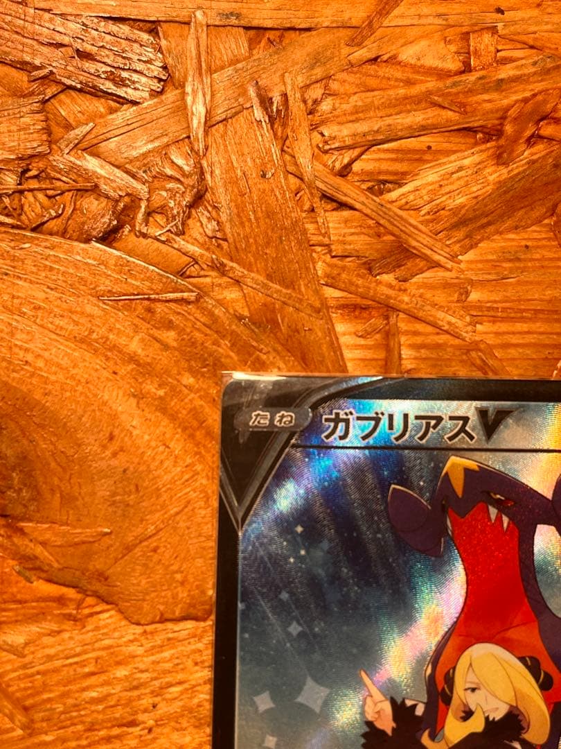 ガブリアスex SAR ガブリアスV 2枚セット