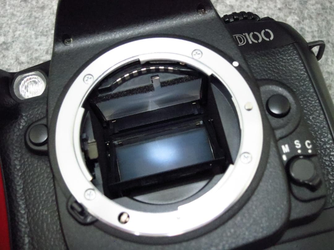 NIKON D100 標準ズームレンズ付