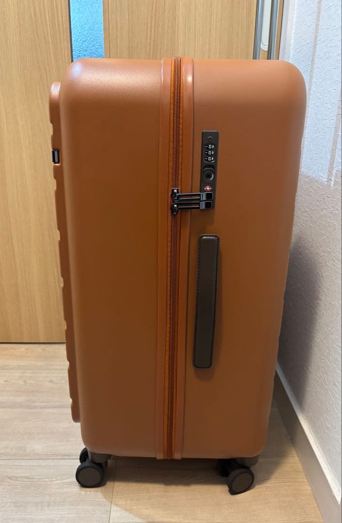 定価の半額‼️【極美品】ACE フレットボード 100L スーツケース