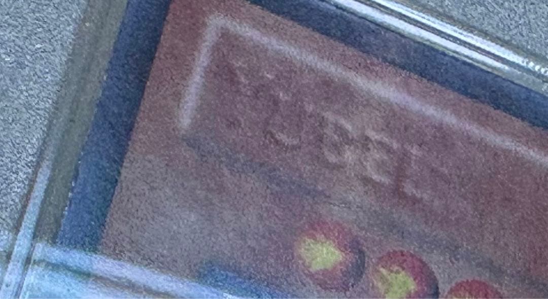 遊戯王 ユベル 印刷エラー (名前なし)