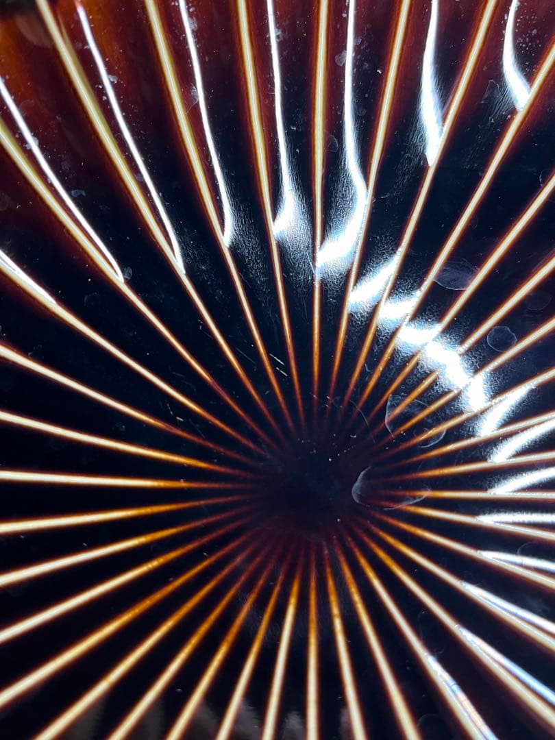 【りお】カネコ小兵　ぎやまん陶 楕円大皿　5枚セット