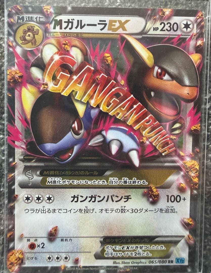 ポケカ M進化EX 5枚セット｜リザードン・レックウザ・ルカリオ