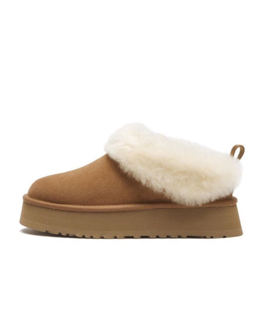 【新品未使用・箱付き】 UGG TAZZELLE 靴23cm