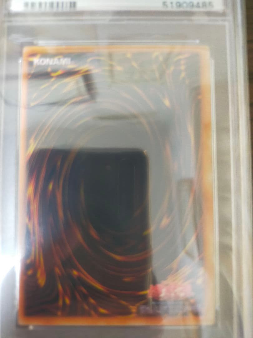 遊戯王 レッドアイズ・ブラックメタルドラゴン psa8