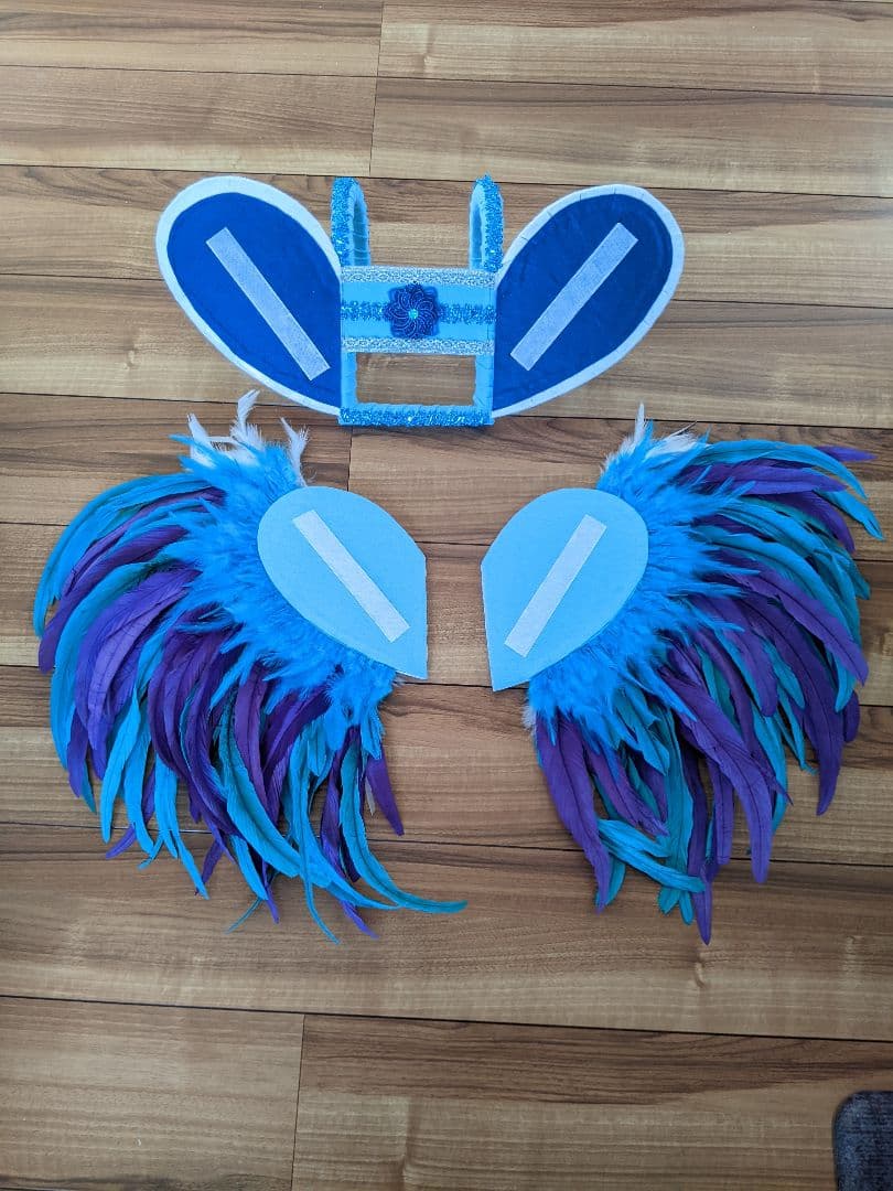 ✳専用✳　キッズ　サンバ　衣装　美品