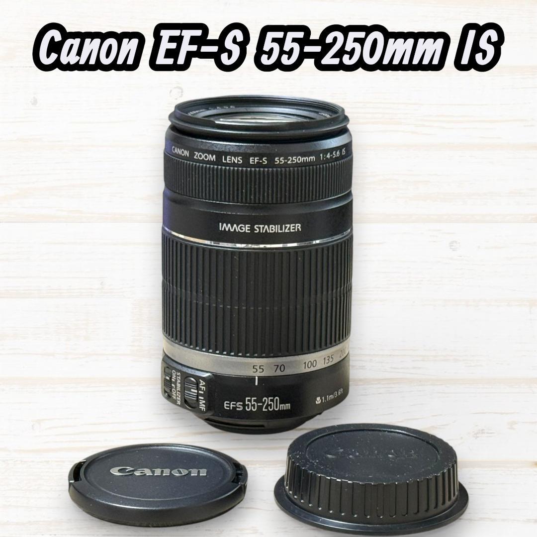 Canon ズームレンズ EF-S 55-250mm IS #285