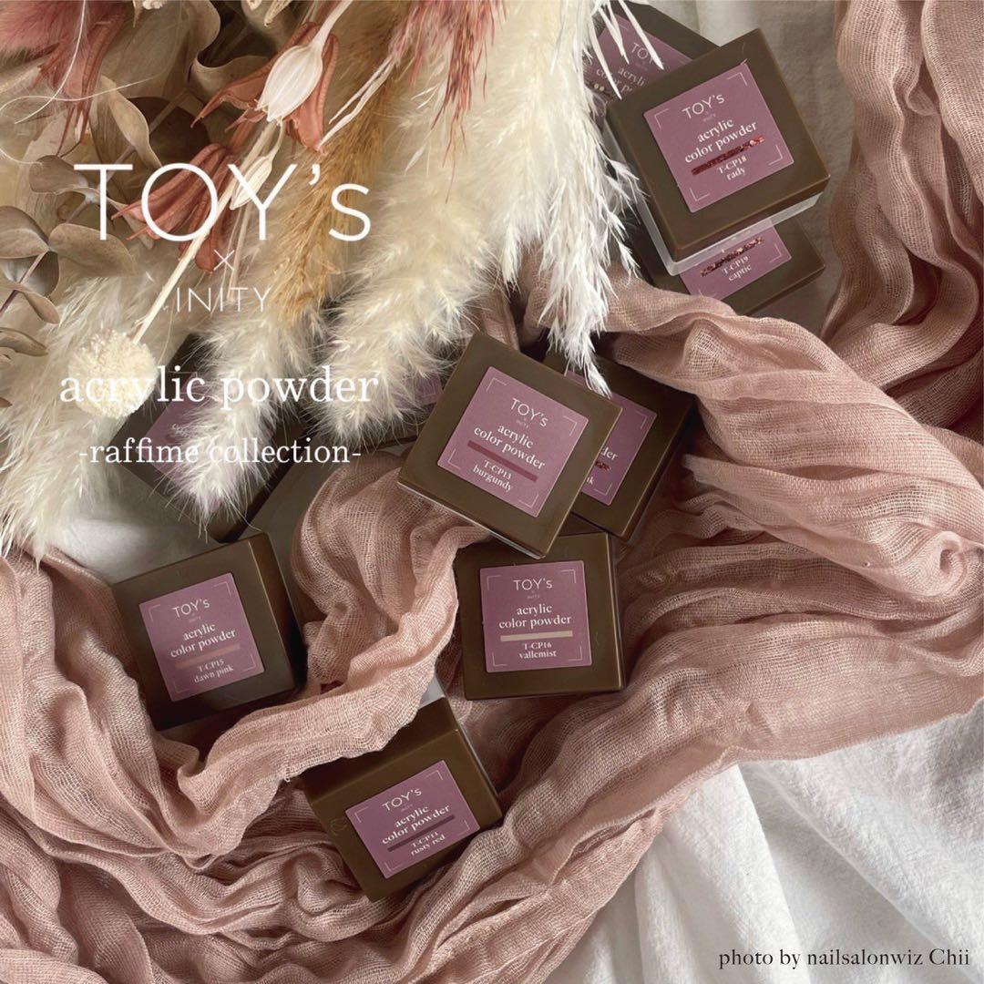 TOY'S アクリルカラーパウダーセット