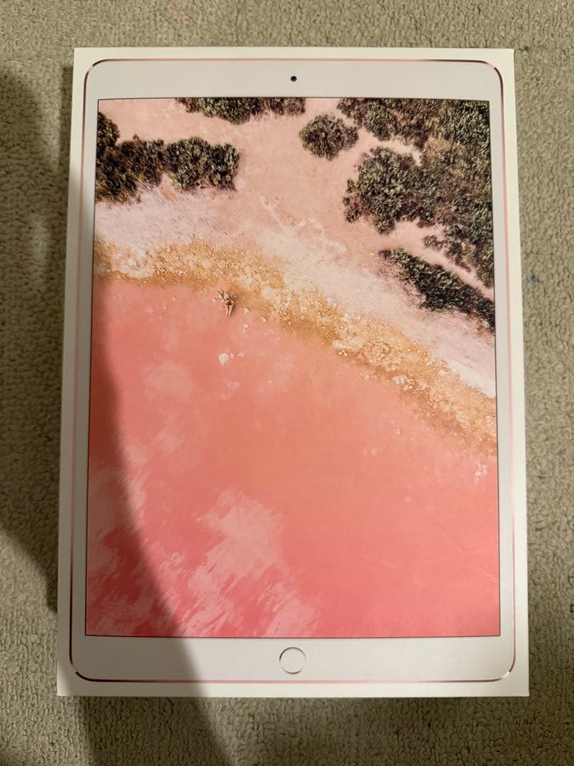 iPad Pro 64GB ペーパーライクフィルム+ApplePencil付