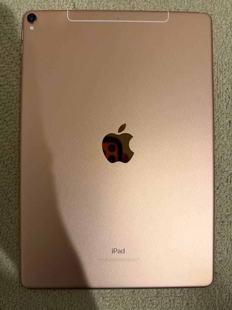 iPad Pro 64GB ペーパーライクフィルム+ApplePencil付