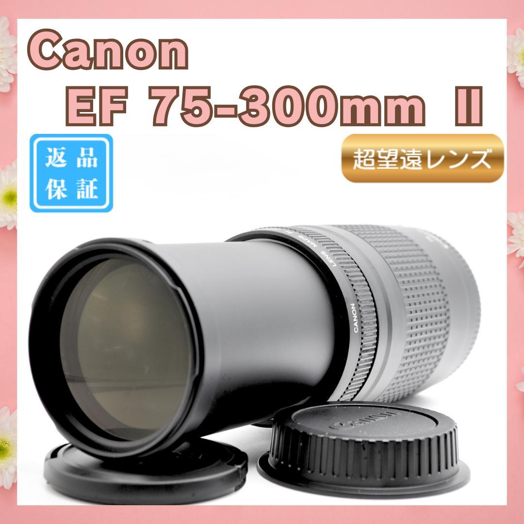 ✨大特価✨Canon EF75-300mm II 超望遠レンズ
