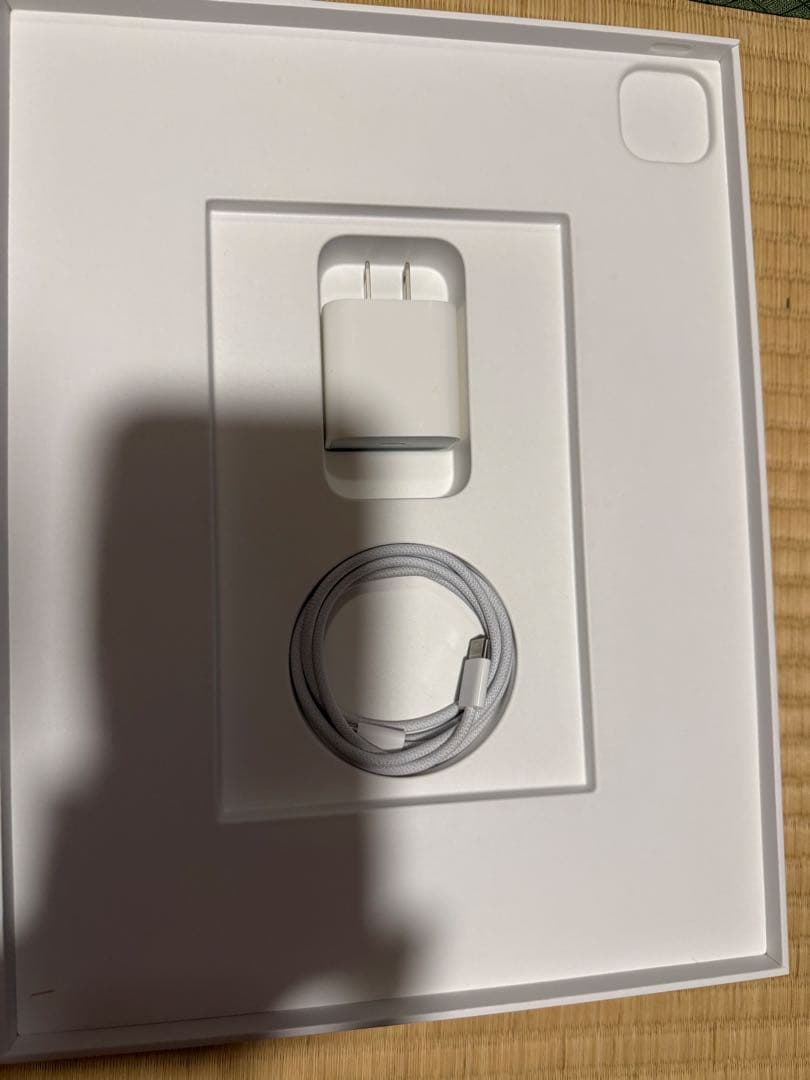 iPad Pro 12.9インチ（第5世代）256GB Wi-Fiモデル