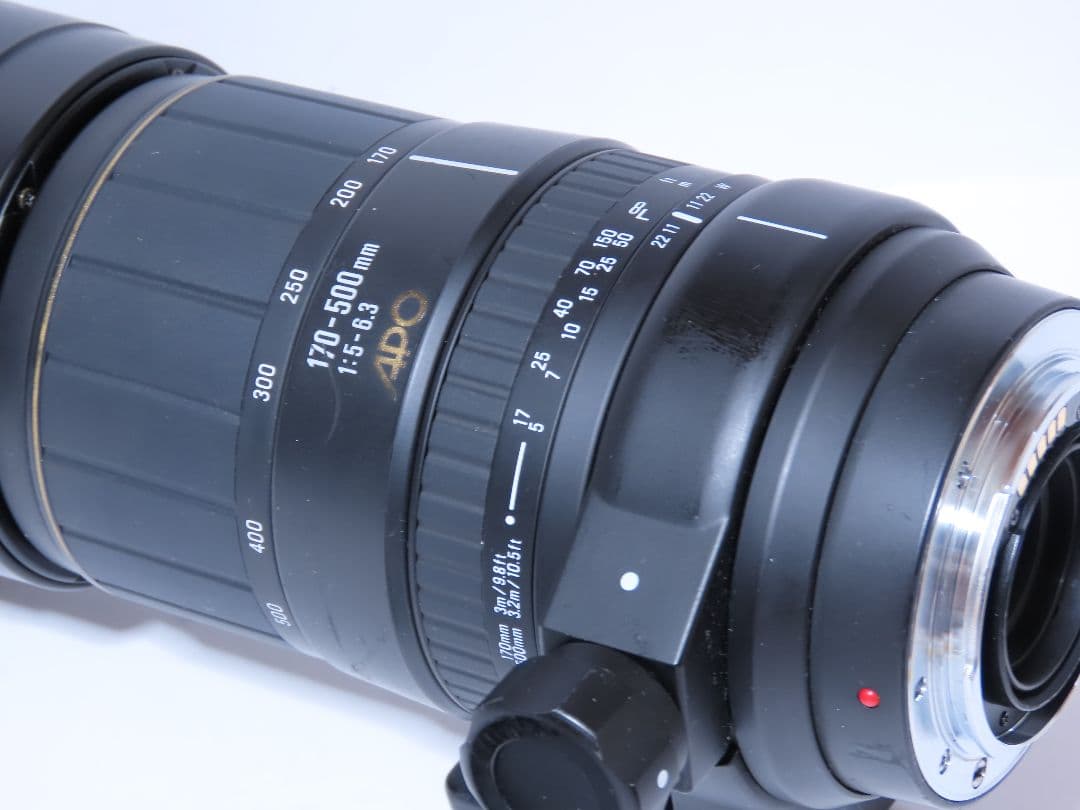 実用品SIGMA APO 170-500mm f5-6.3 作例あり Aマウント