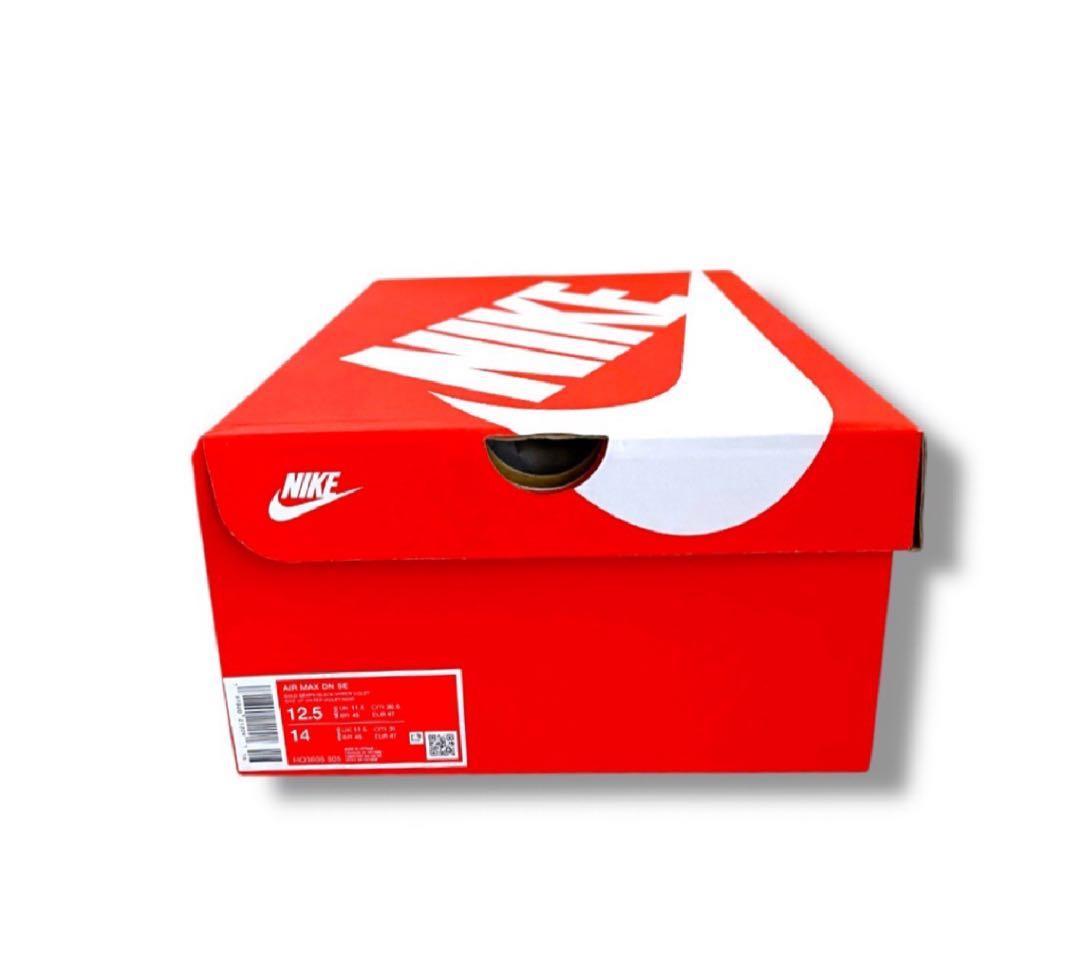 ★新品未使用正規品★NIKE AIR MAX DN SE