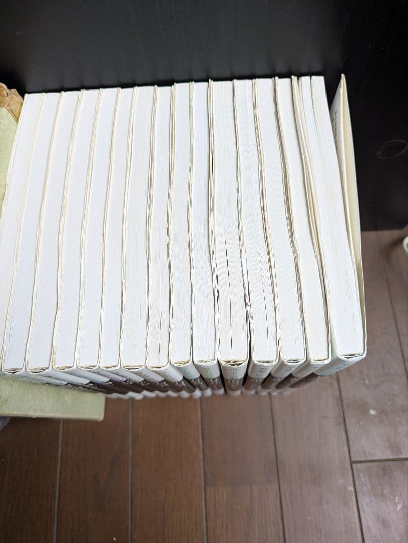 す*れ様 裏千家茶道入門 千宗室著