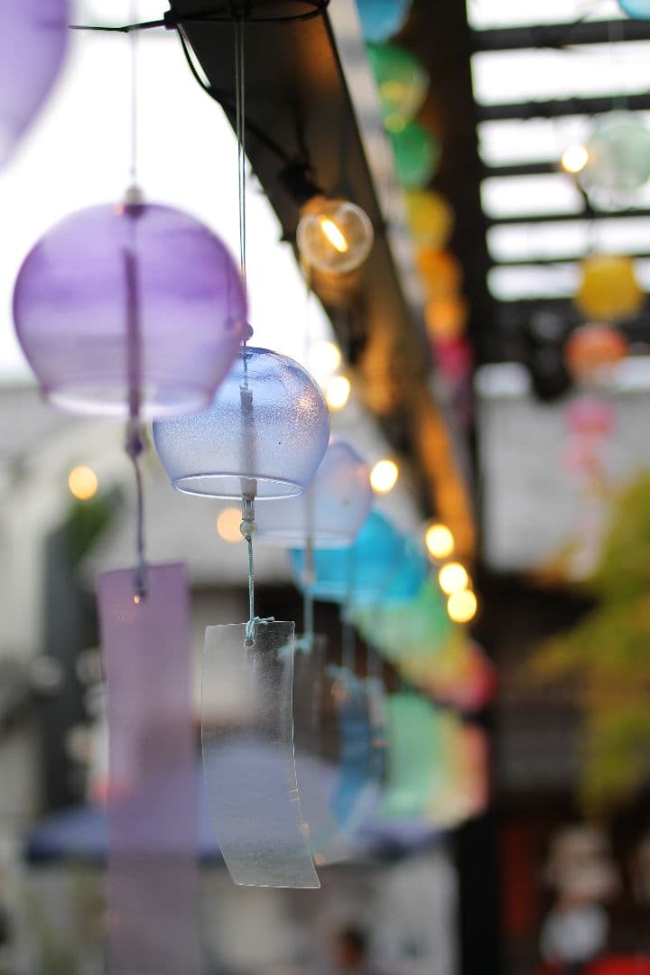 【美品 18260枚】Canon EOS Kiss X50 初心者向き