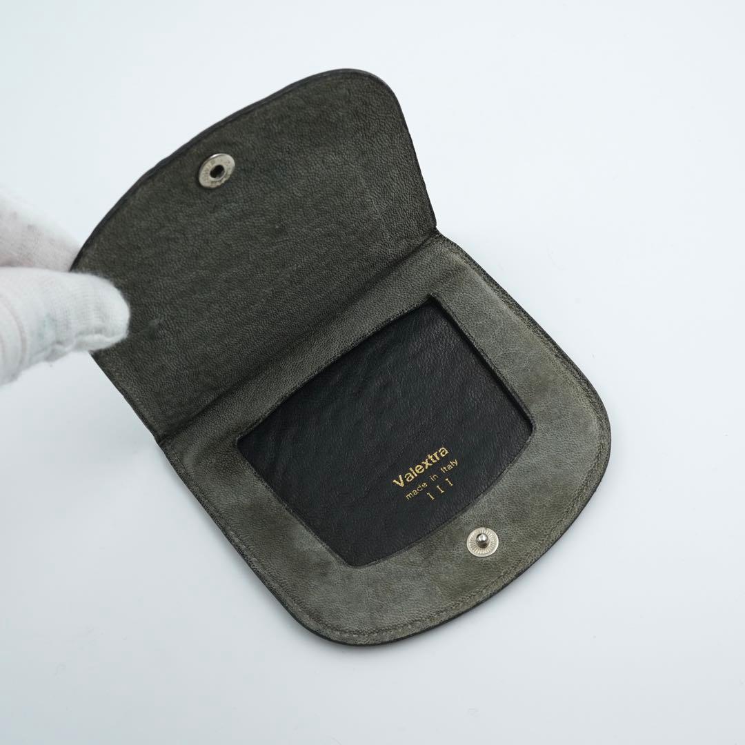 ✨未使用に近い✨　ヴァレクストラ　ケース　カードケース　エレファントレザー