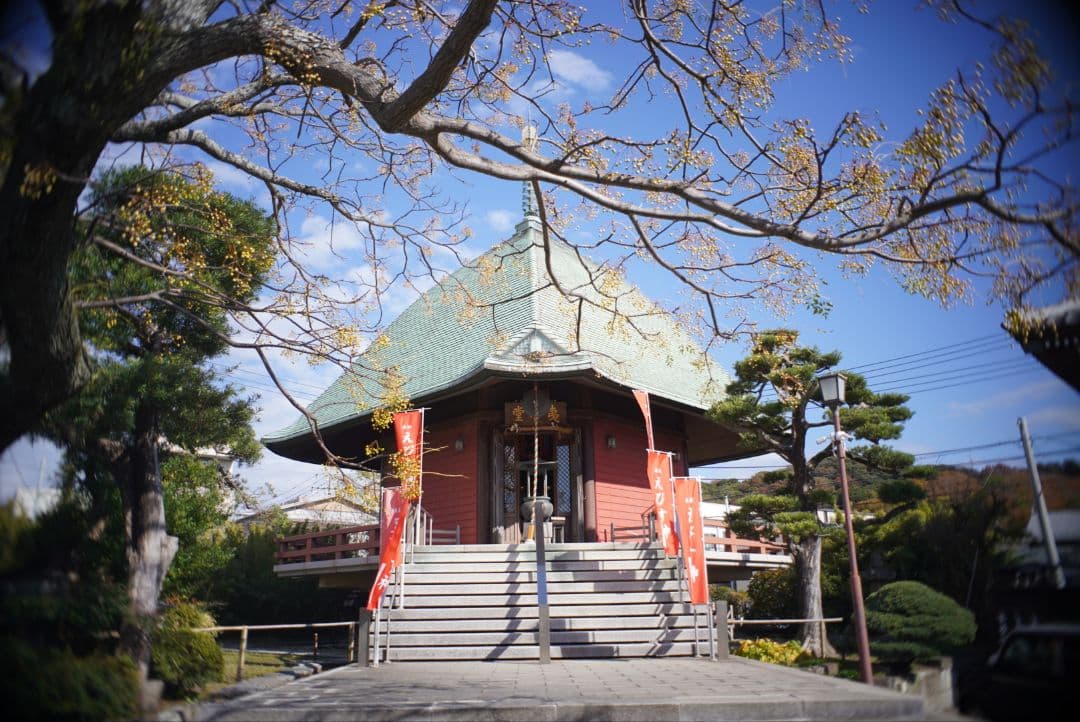 【動作確認済】OLYMPUS E.Zuiko Auto-W 25mm f4