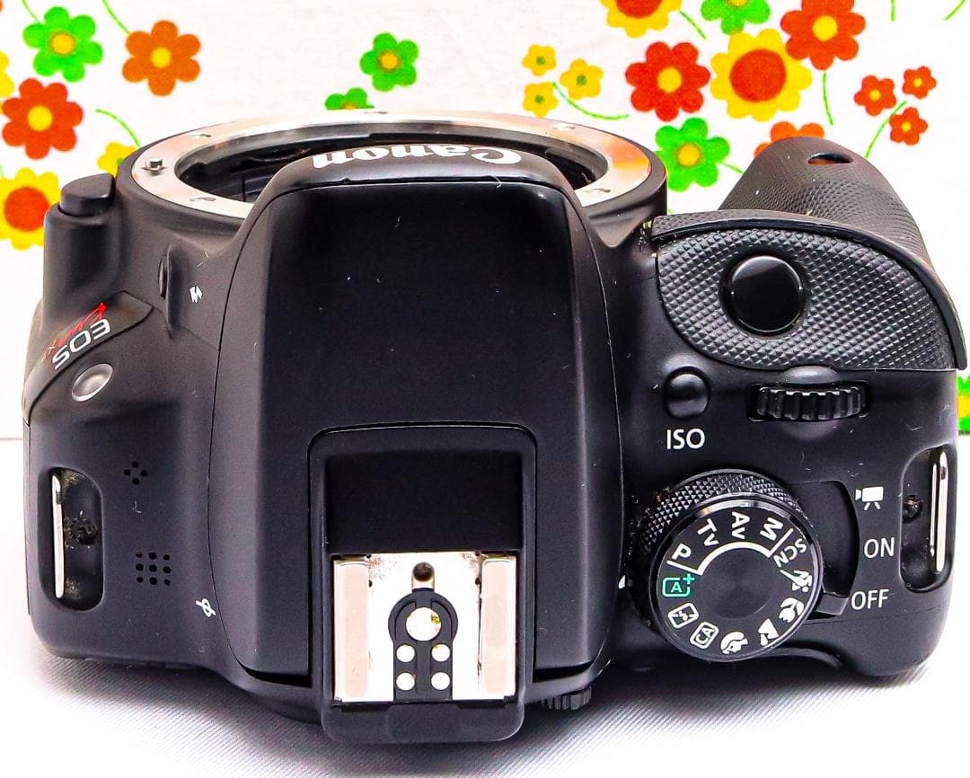 キャノン Canon EOS Kiss X7 ☆スマホ転送☆超小型・軽量☆美品♪