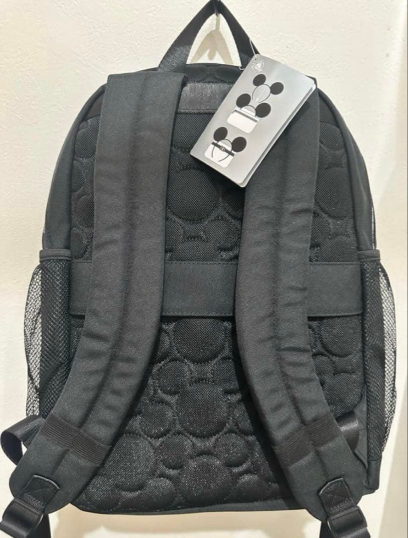 ディズニー　リュック　WDW フロリダ 限定　　バックパック　未使用　ミッキー