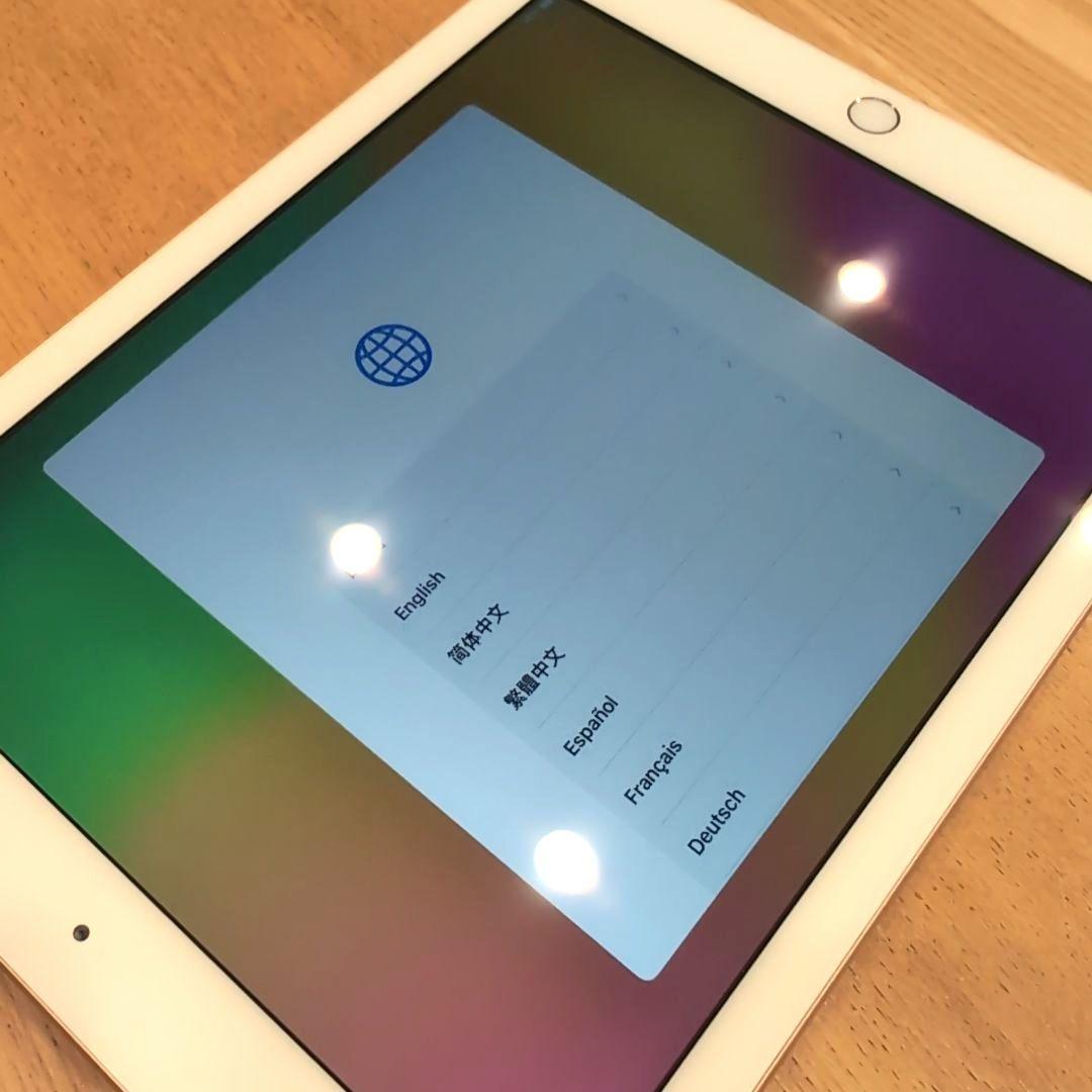 極美品 iPad 第6世代 32GB ゴールド MRJN2J/A Wi-Fi
