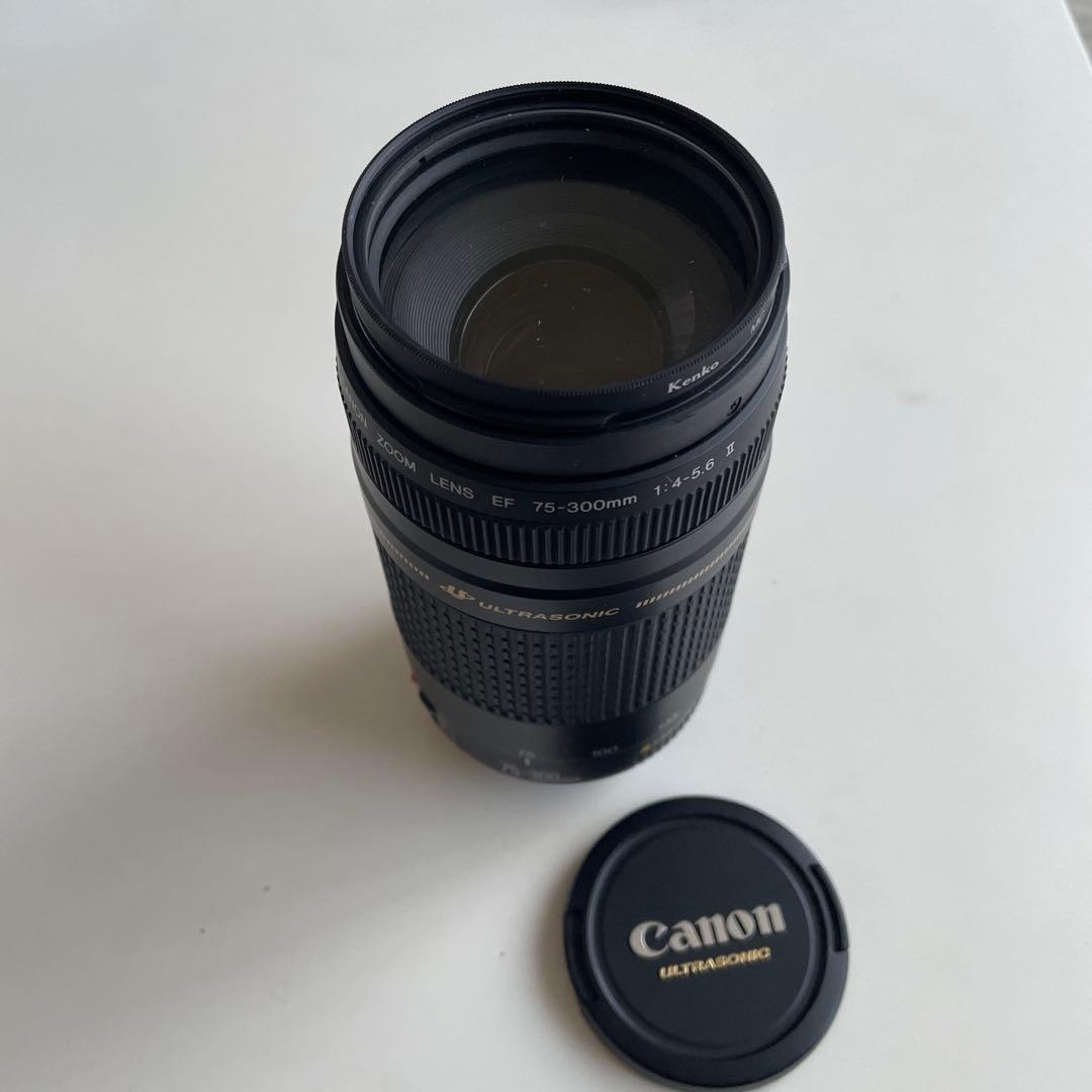 Canon 望遠レンズ