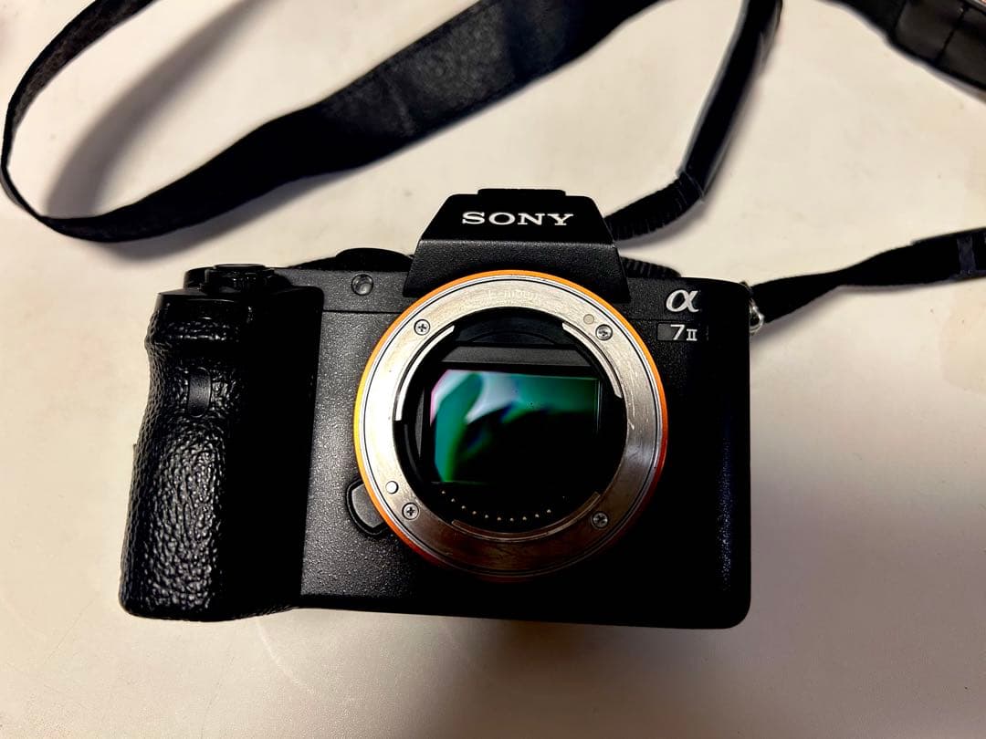 SONY α7 II バッテリー6本、スーパーブック付き