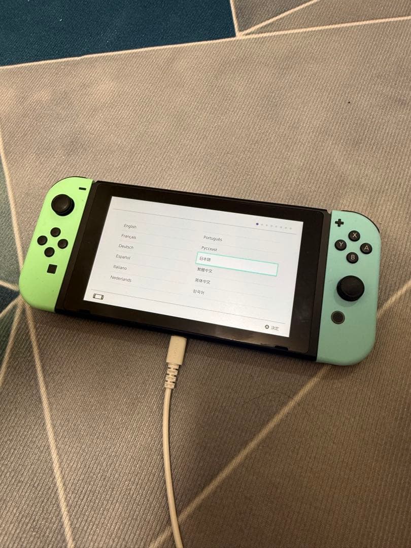 ニンテンドースイッチ動物の森セット nintendo switch