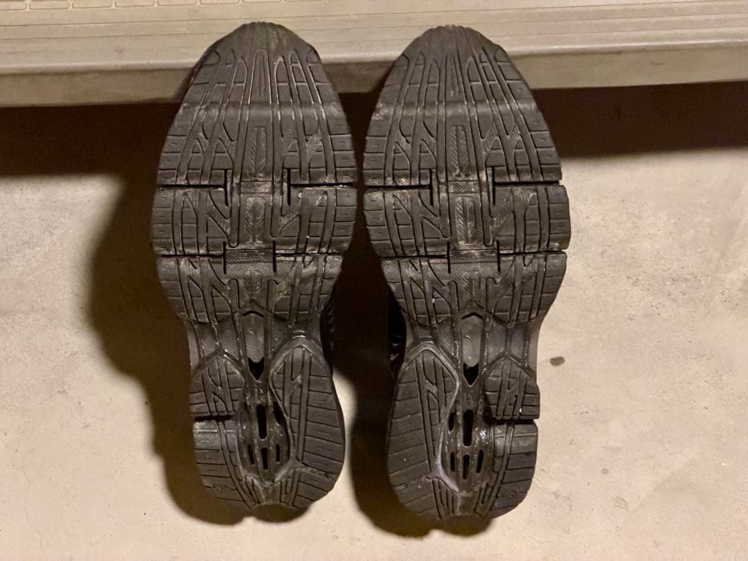 靴 mizuno WAVE PROPHECY LS 29cm