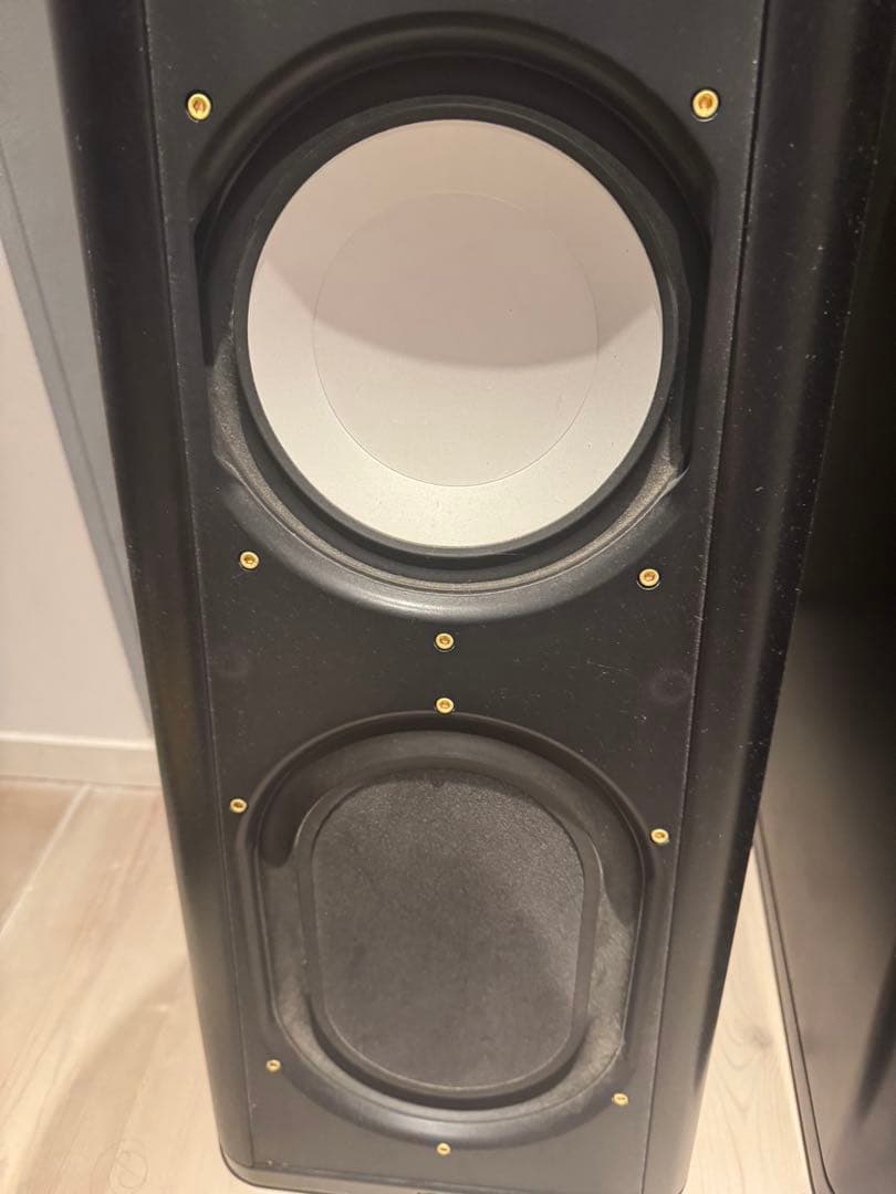 Thiel CS2.4 ハイエンドスピーカー 動作確認済