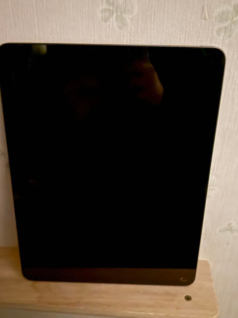 新品同様 iPad Pro 12.9インチ（第4世代） Wi-Fi 128GB