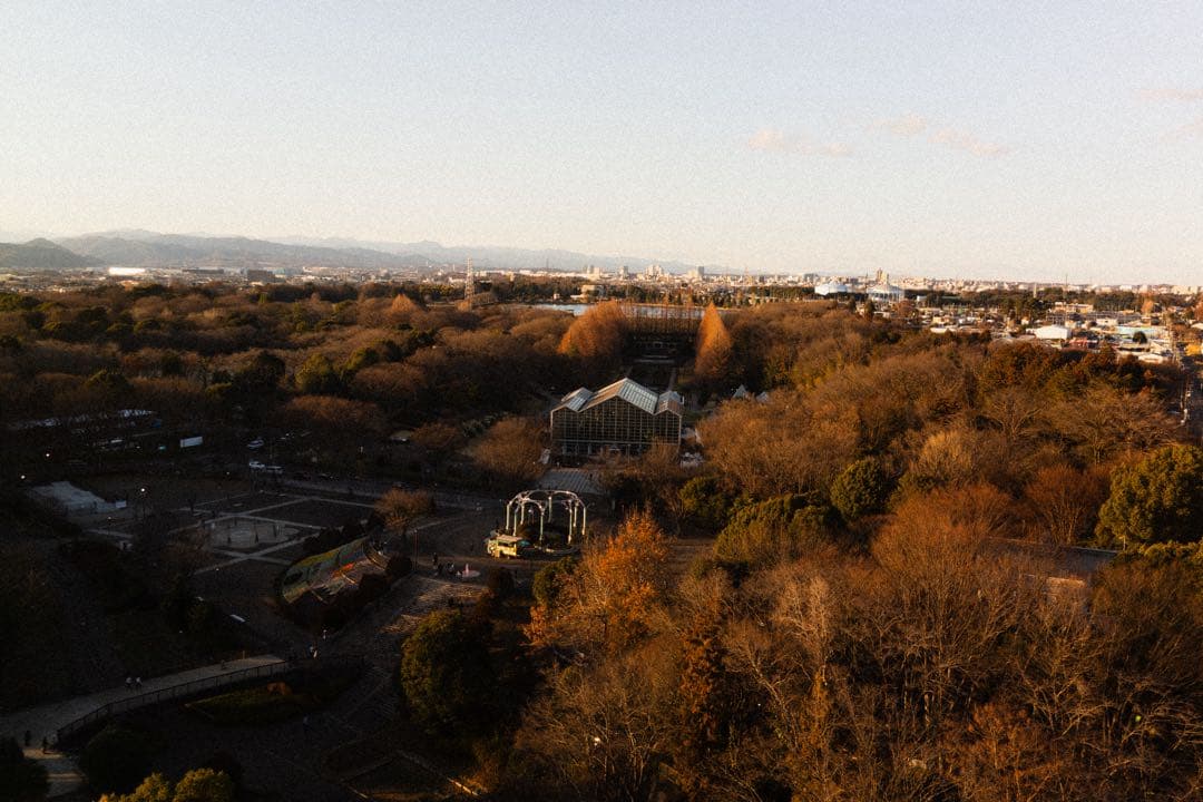 SONY DSC-RX1 元箱あり