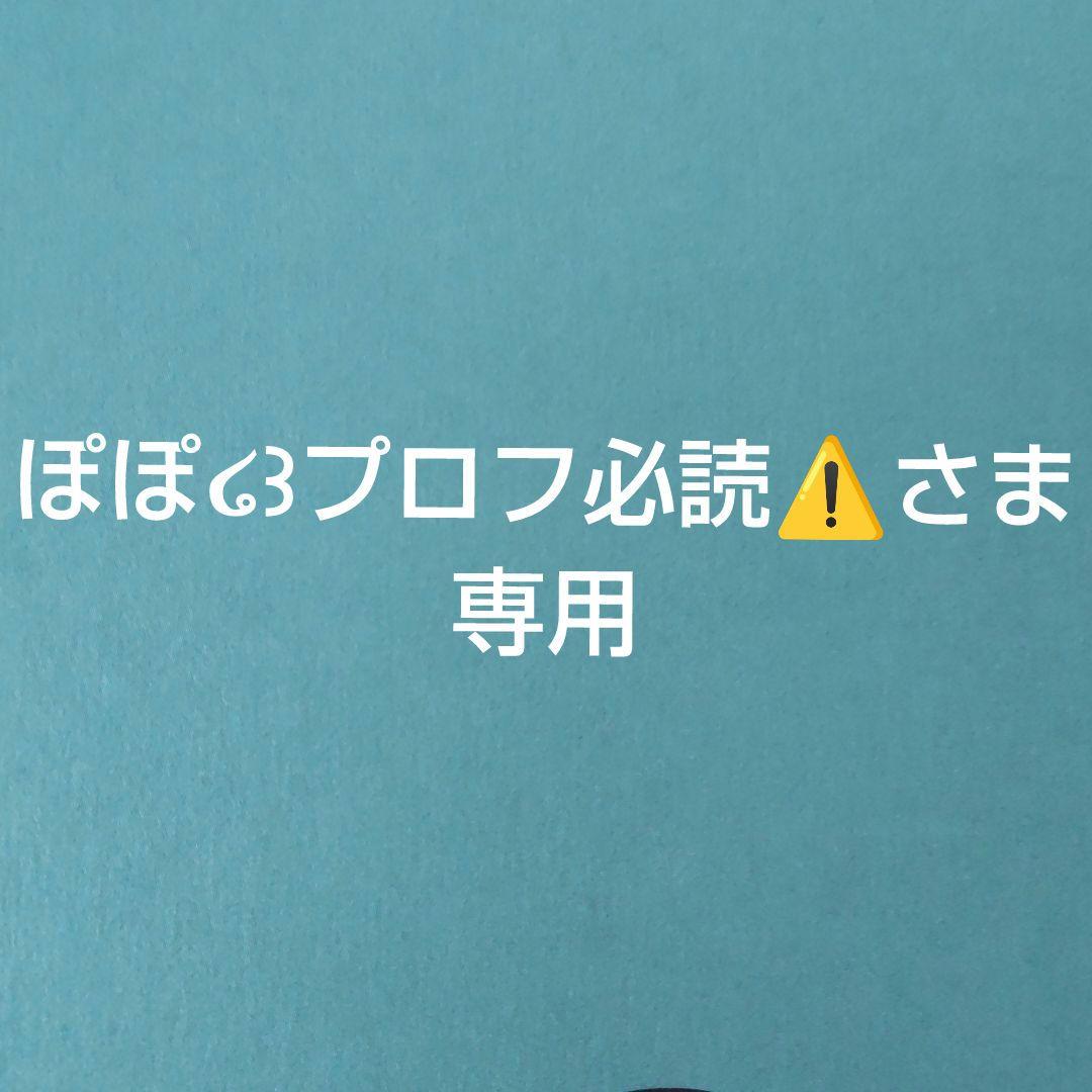 ぽぽ‪໒꒱プロフ必読⚠️さま専用