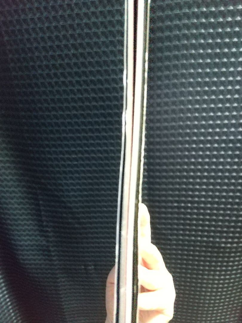 ミュウツーの逆襲 EVOLUTION パンフレット カード付き