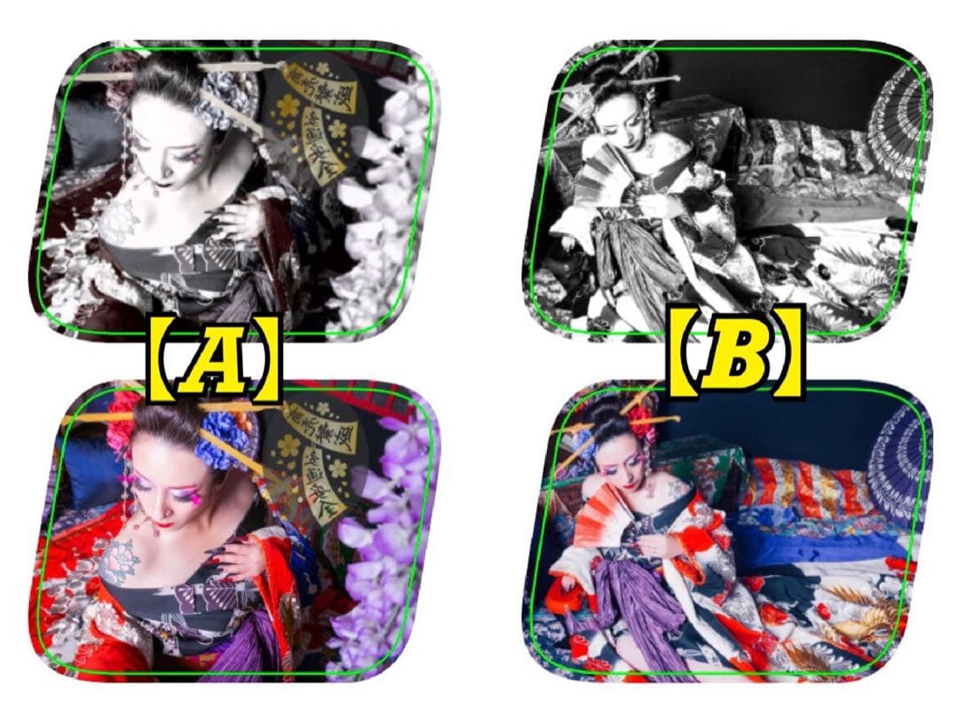 ☆安全窓☆ 『花魁』パネル♡