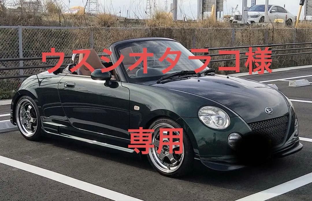 ウスシオタラコ