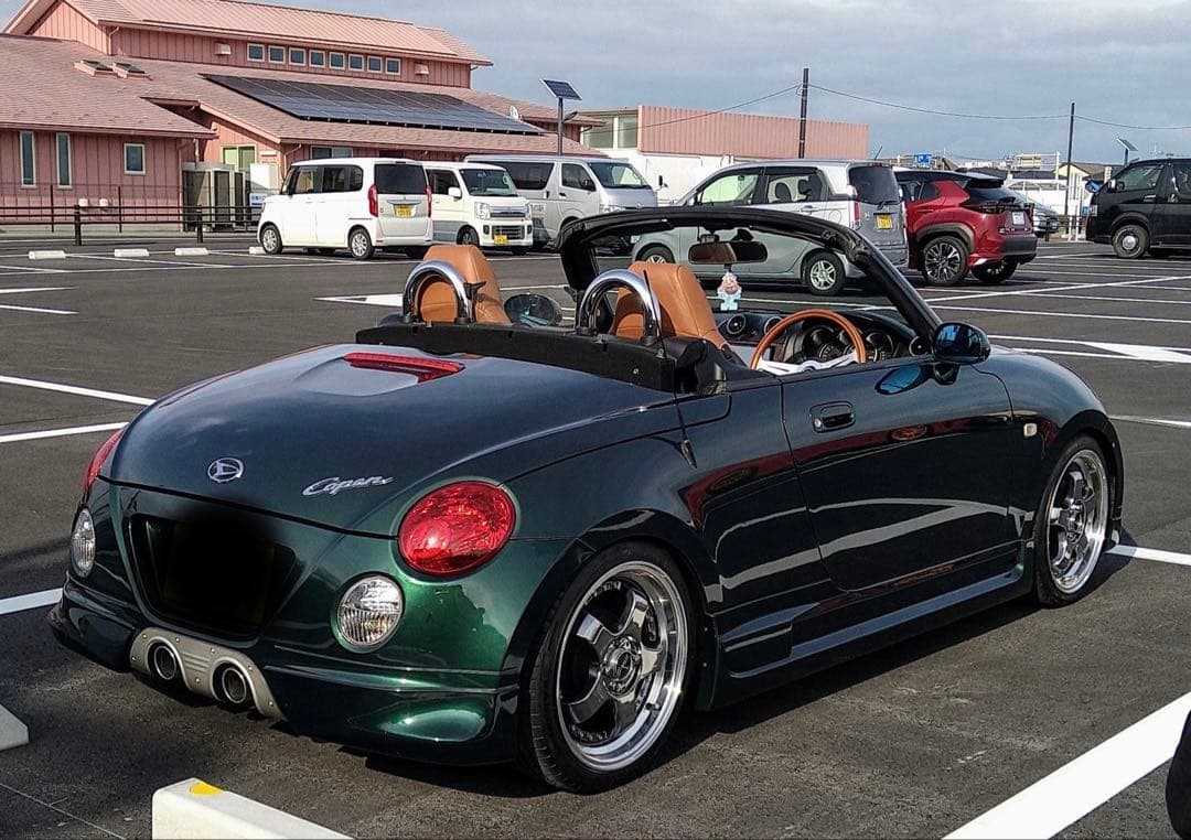 ウスシオタラコ