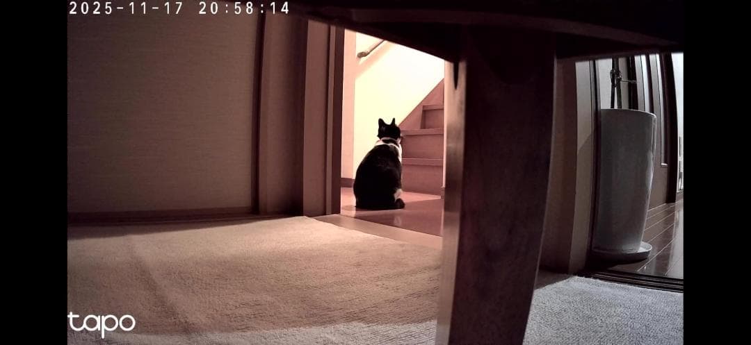 TP-Link 3K 5MP ネットワークWi-Fiカメラ 屋内カメラ ホームb