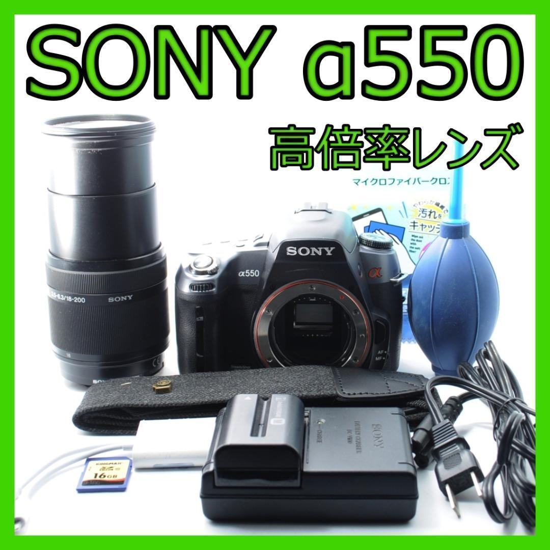 家族旅行を綺麗に残す❗️SONY α550✨高倍率レンズセット✨️すぐ使える