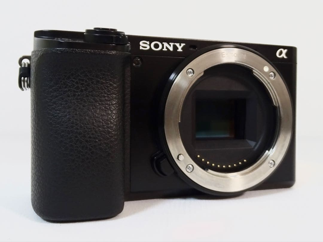◆速写ケース付き・美品◆ SONY α6100 16-50mm レンズセット