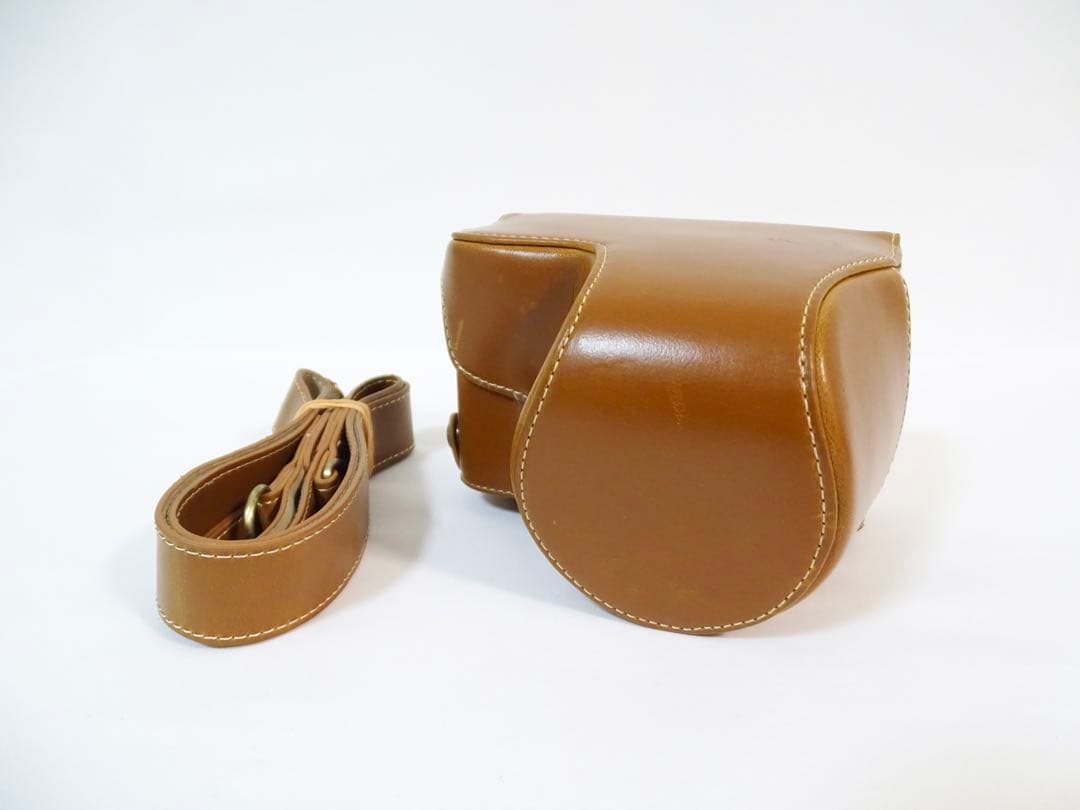 ◆速写ケース付き・美品◆ SONY α6100 16-50mm レンズセット