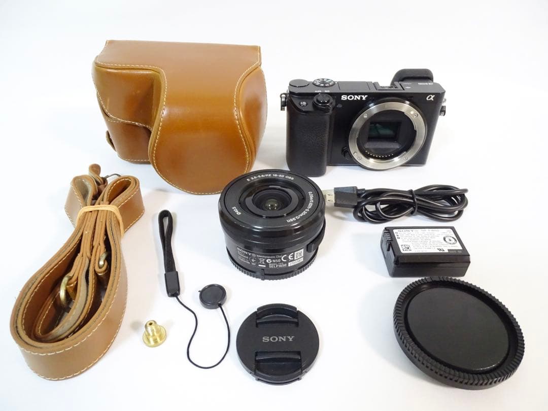 ◆速写ケース付き・美品◆ SONY α6100 16-50mm レンズセット