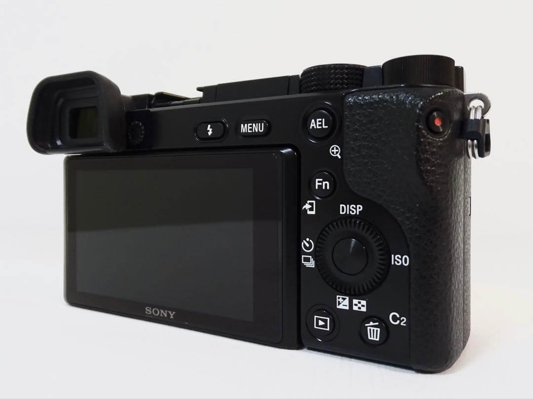 ◆速写ケース付き・美品◆ SONY α6100 16-50mm レンズセット